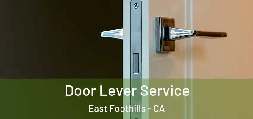  Door Lever Service East Foothills - CA