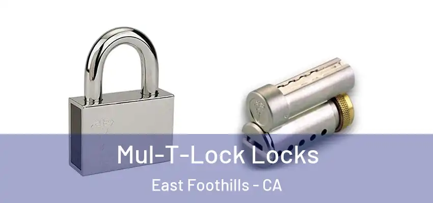  Mul-T-Lock Locks East Foothills - CA